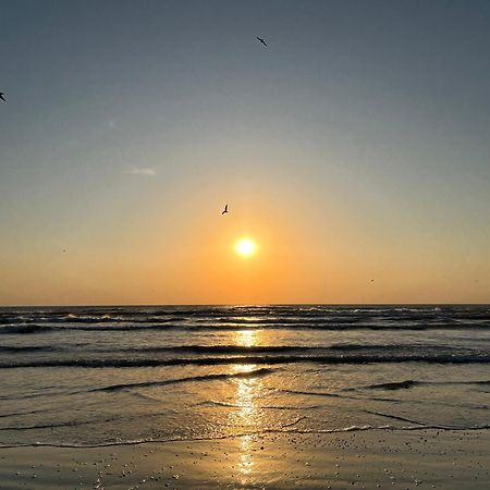 Excelsior Apartaments Mamaia Nord Navodari Dış mekan fotoğraf