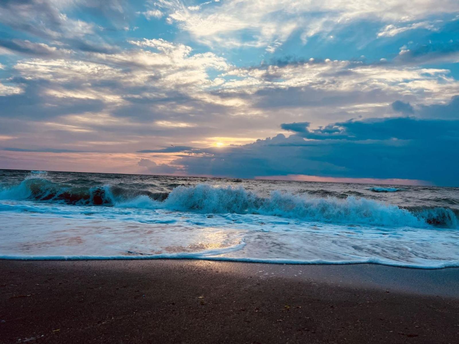 Excelsior Apartaments Mamaia Nord Navodari Dış mekan fotoğraf
