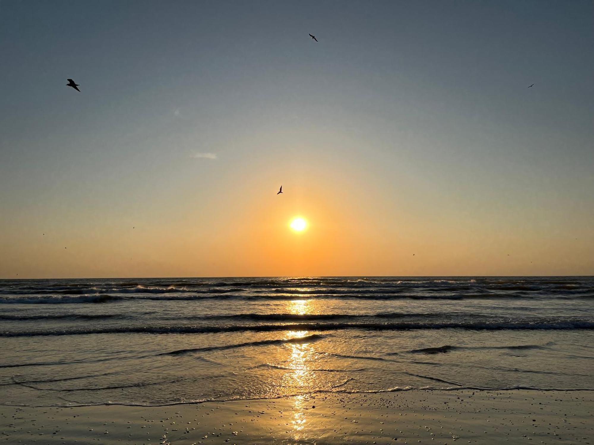 Excelsior Apartaments Mamaia Nord Navodari Dış mekan fotoğraf