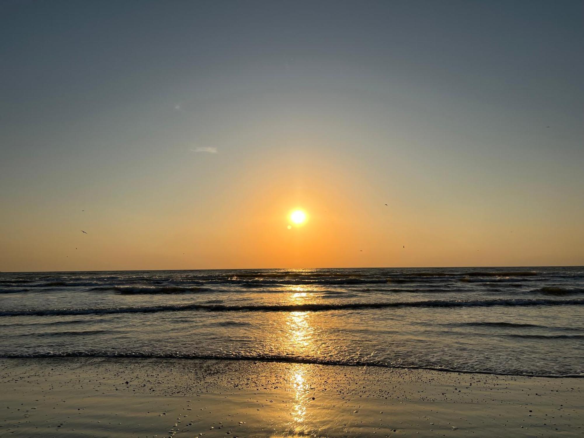 Excelsior Apartaments Mamaia Nord Navodari Dış mekan fotoğraf